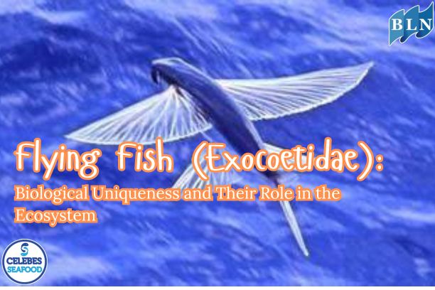 Flying Fish (Exocoetidae): Biological Uniqueness and Their Role in the Ecosystem